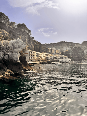 The Med Collection
